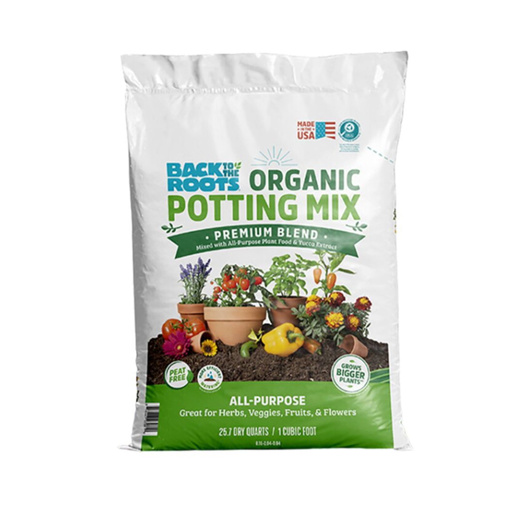 C&EN Interview Article IG